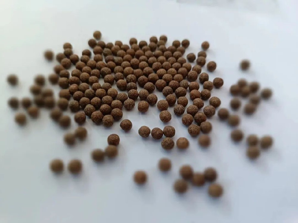 中医药小常识：中药剂型之浓缩丸