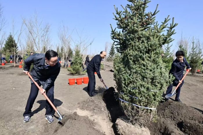许勤：增绿护林厚植生态优势 久久为功建设绿色龙江