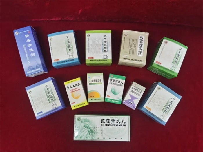 【祖研制剂】四大专病精准诊疗 祖研制剂助力肾脏健康