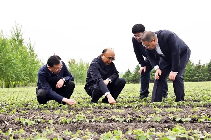 许勤到绥化市海伦市调研