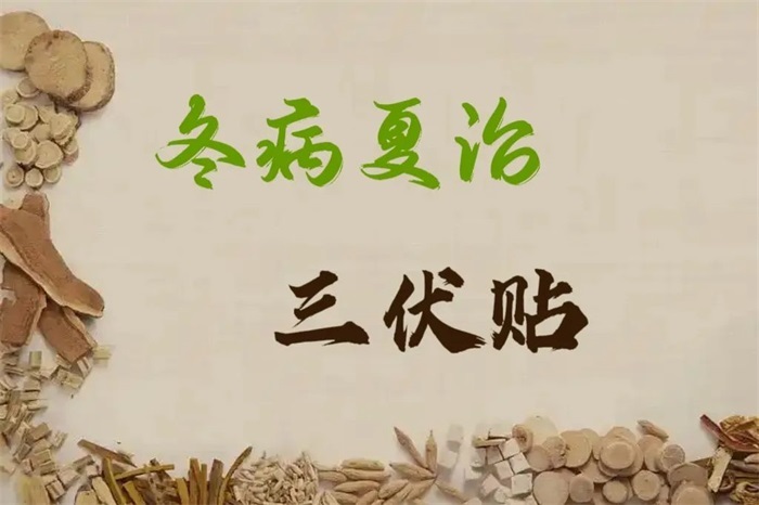三伏养生正当时——冬病夏治“三伏贴”