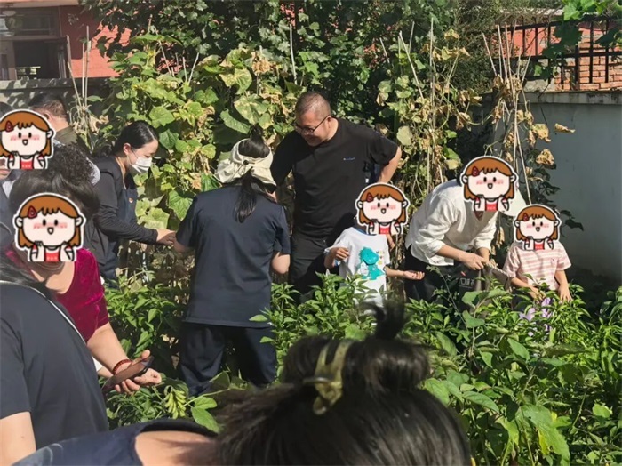 特殊小天使收获成长——曲线社区党支部组织特殊儿童开展秋日采摘活动